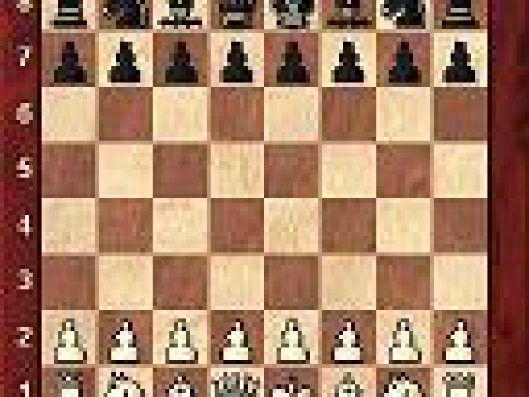En directe! Partides de la Diada d’escacs